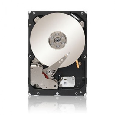 Жесткий диск Seagate Cheetah NS.2 300Gb (U4096/10000/16Mb) 40pin DP Fibre Channel (ST3300602FC)